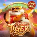 Fortune Tiger ona bet